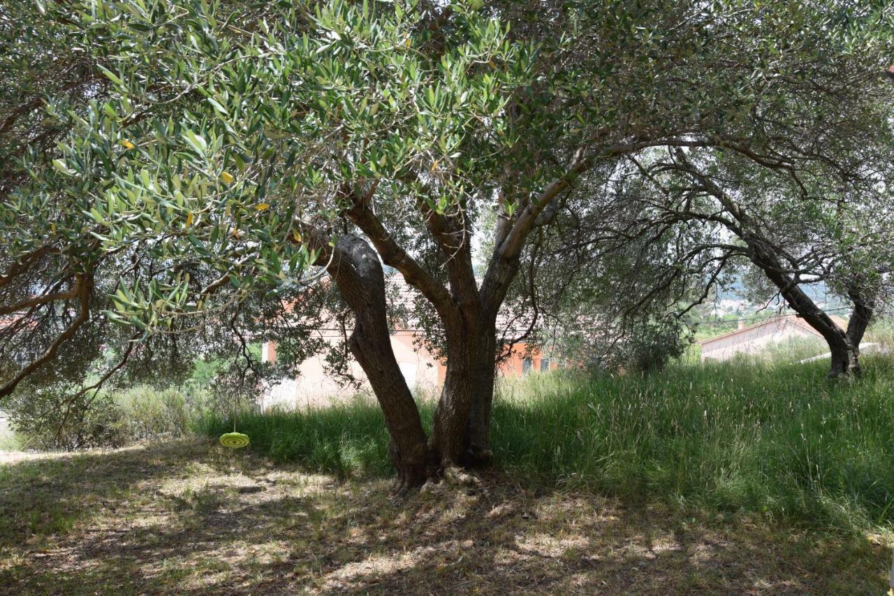 Charming Villa Rab Rab Town Dış mekan fotoğraf